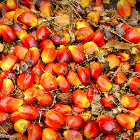 Biofuel